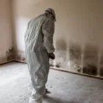 Mold Removal vs Mold Remediation: What’s the Difference?