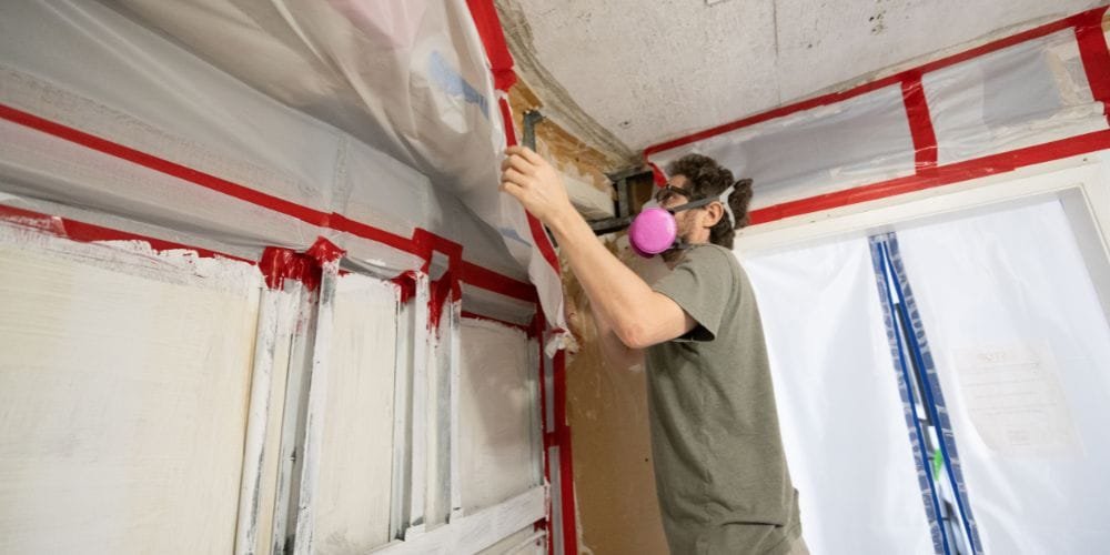 Professional Mold Remediation