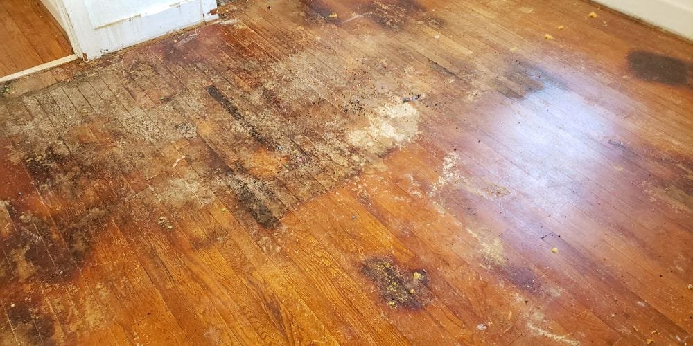 water damage in floor