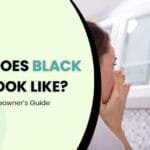 What Does Black Mold Look Like? A Homeowner’s Guide