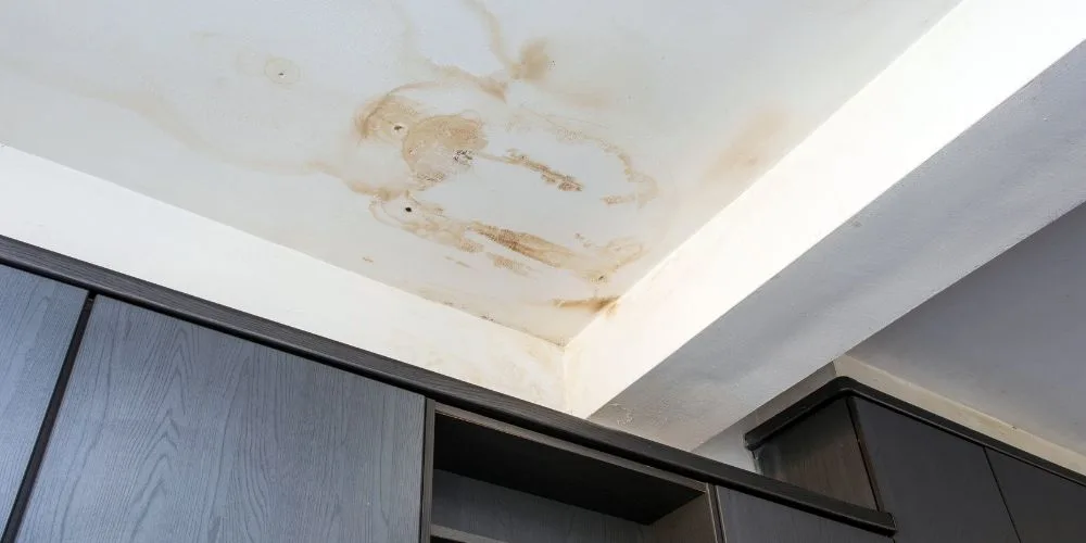 Small Roof Leak Becomes an Expensive Problem