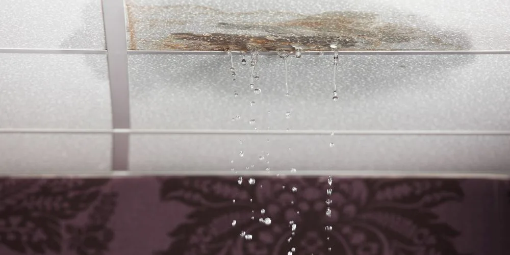 What Is a Roof Leak