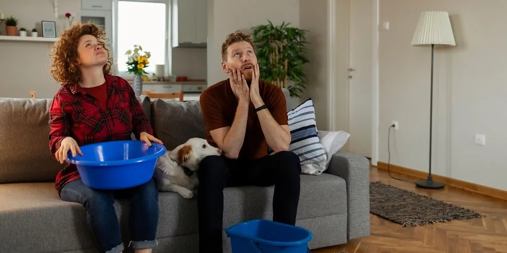 When to Consider Professional Inspection