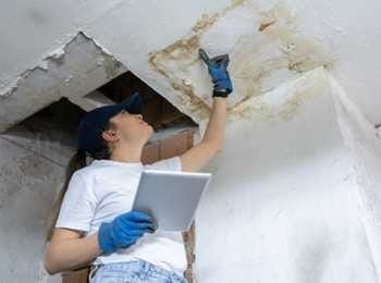 Mold Inspection and Removal