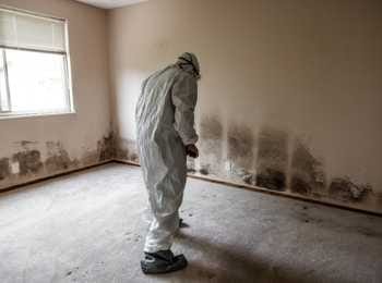 Mold Testing