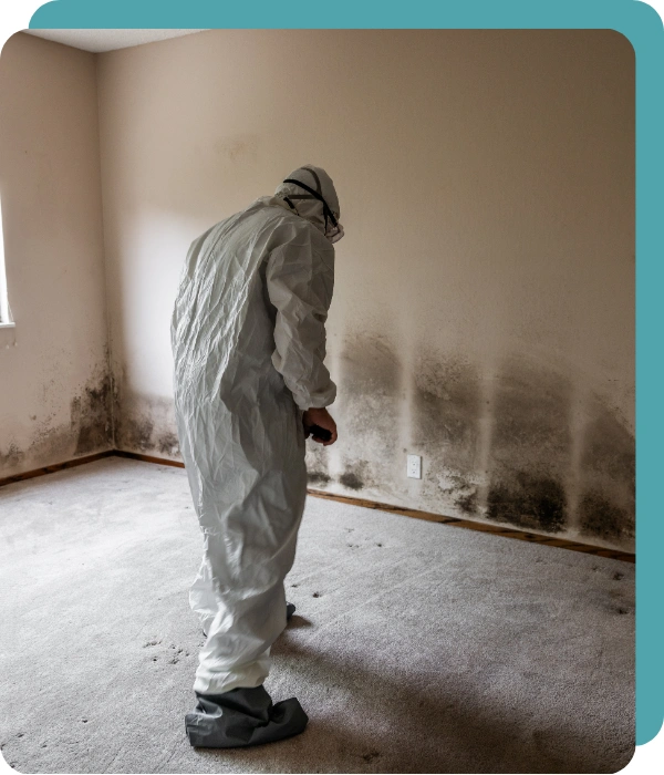Residential and Commercial Mold Removal Services in San Antonio, TX