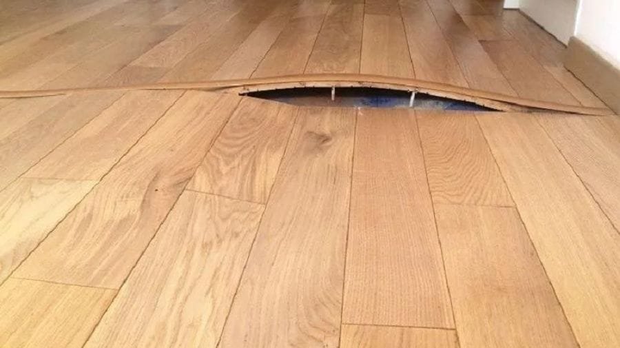 Warping and Buckling of Floorboards